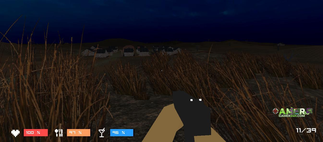 Gameplay Screenshot
