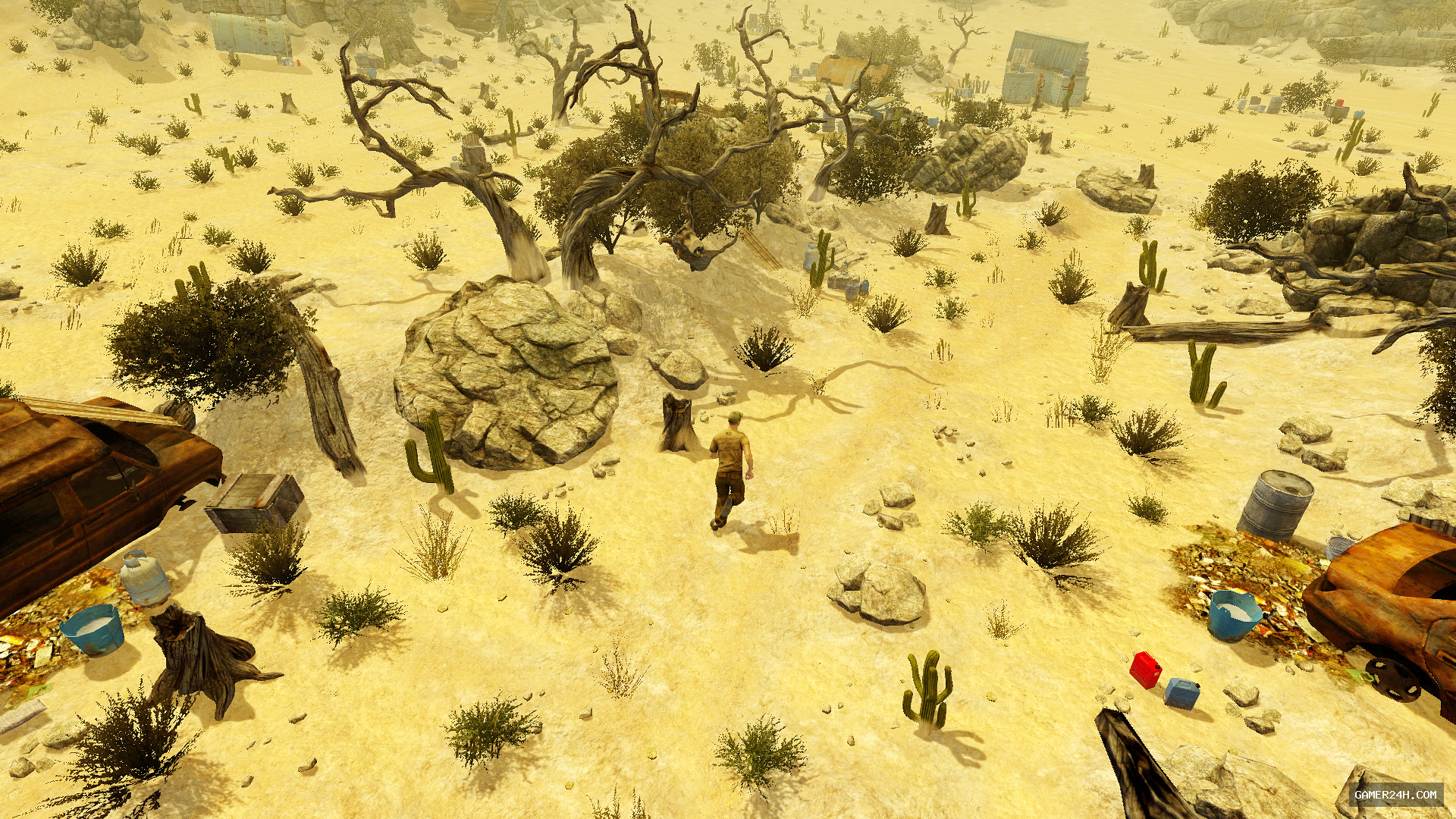 Gameplay Screenshot