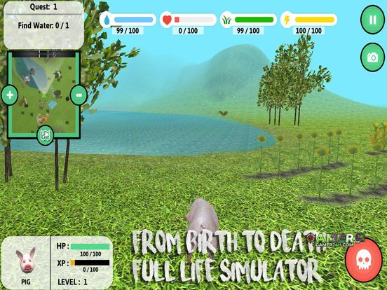 Gameplay Screenshot