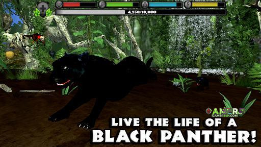 Gameplay Screenshot
