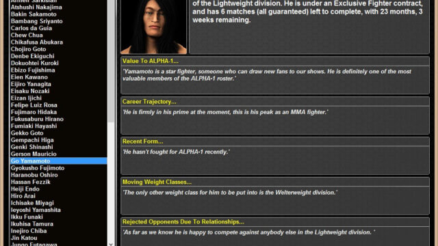 World of Mixed Martial Arts 3