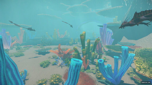 Wander