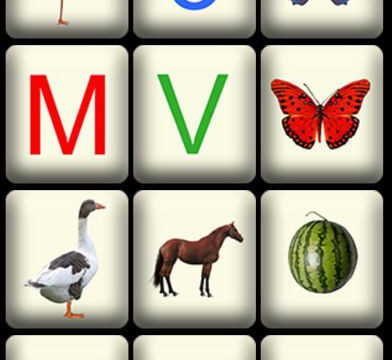 Categorizer