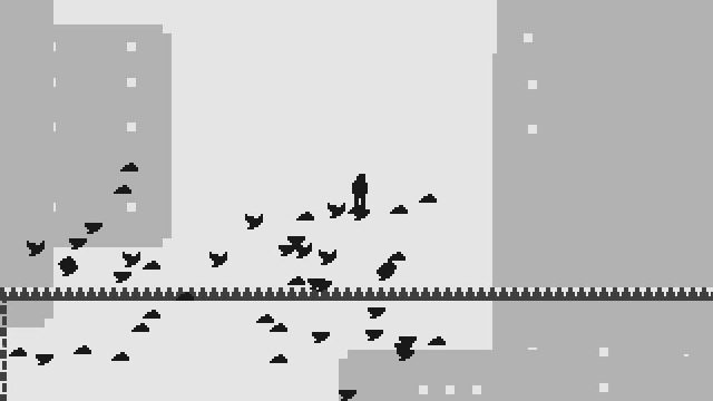 Avian Days