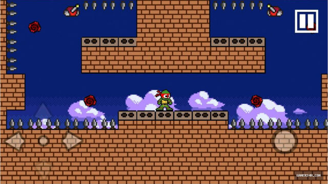 Gravity Ninja Turtle