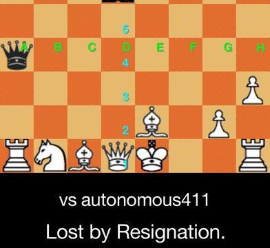 Chess Watch!