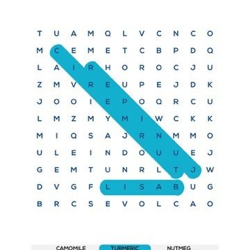 Word Search: A fun word game