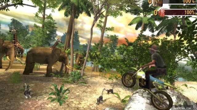 Safari: Online Evolution