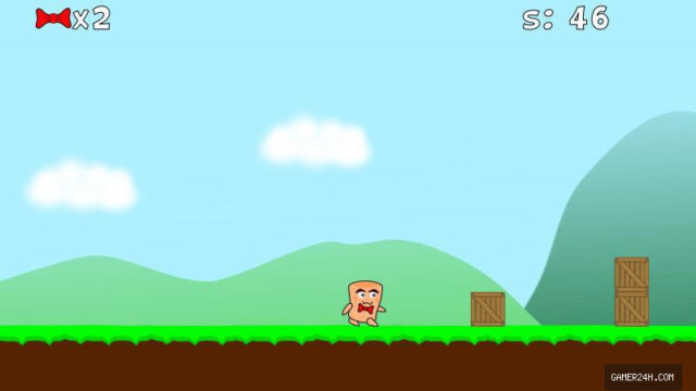 Mr. Hopp Run