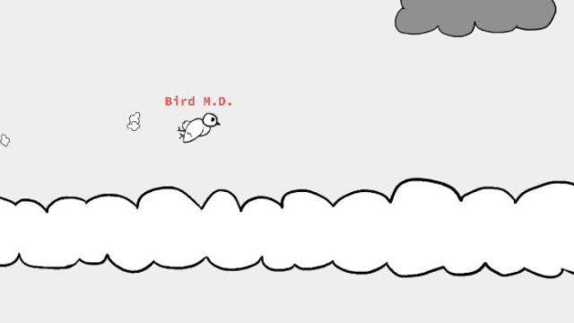 Bird Chat