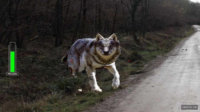 If you go down in the woods