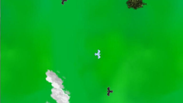 The Birds are Going to be Alright
