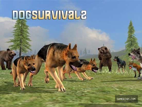 Gameplay Screenshot