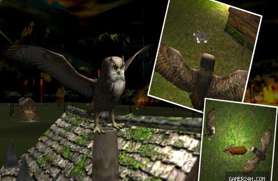 Wild Owl Flying Simulator 3D