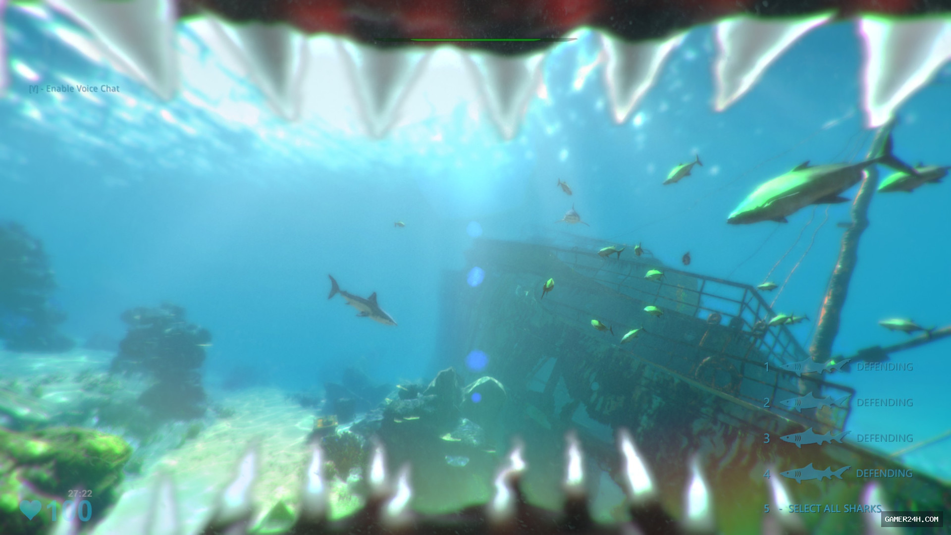 Gameplay Screenshot