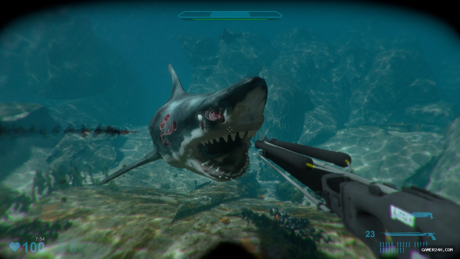 Gameplay Screenshot