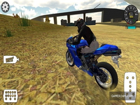 Gameplay Screenshot