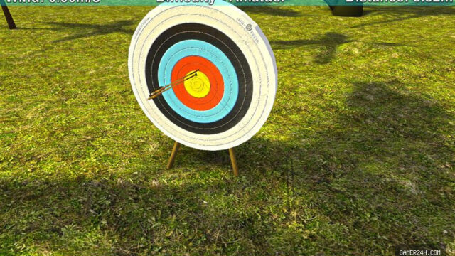 Archery Champion Bowman