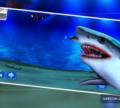 Shark Winter Emergency: The Ocean Underwater Fish Attack For Food – Free
