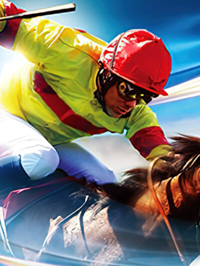 Winning Post 8 (2015)
