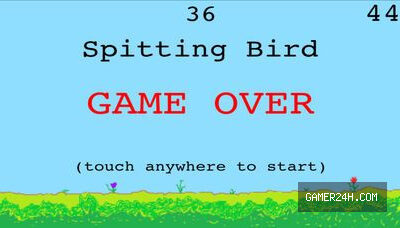 Spitting Bird