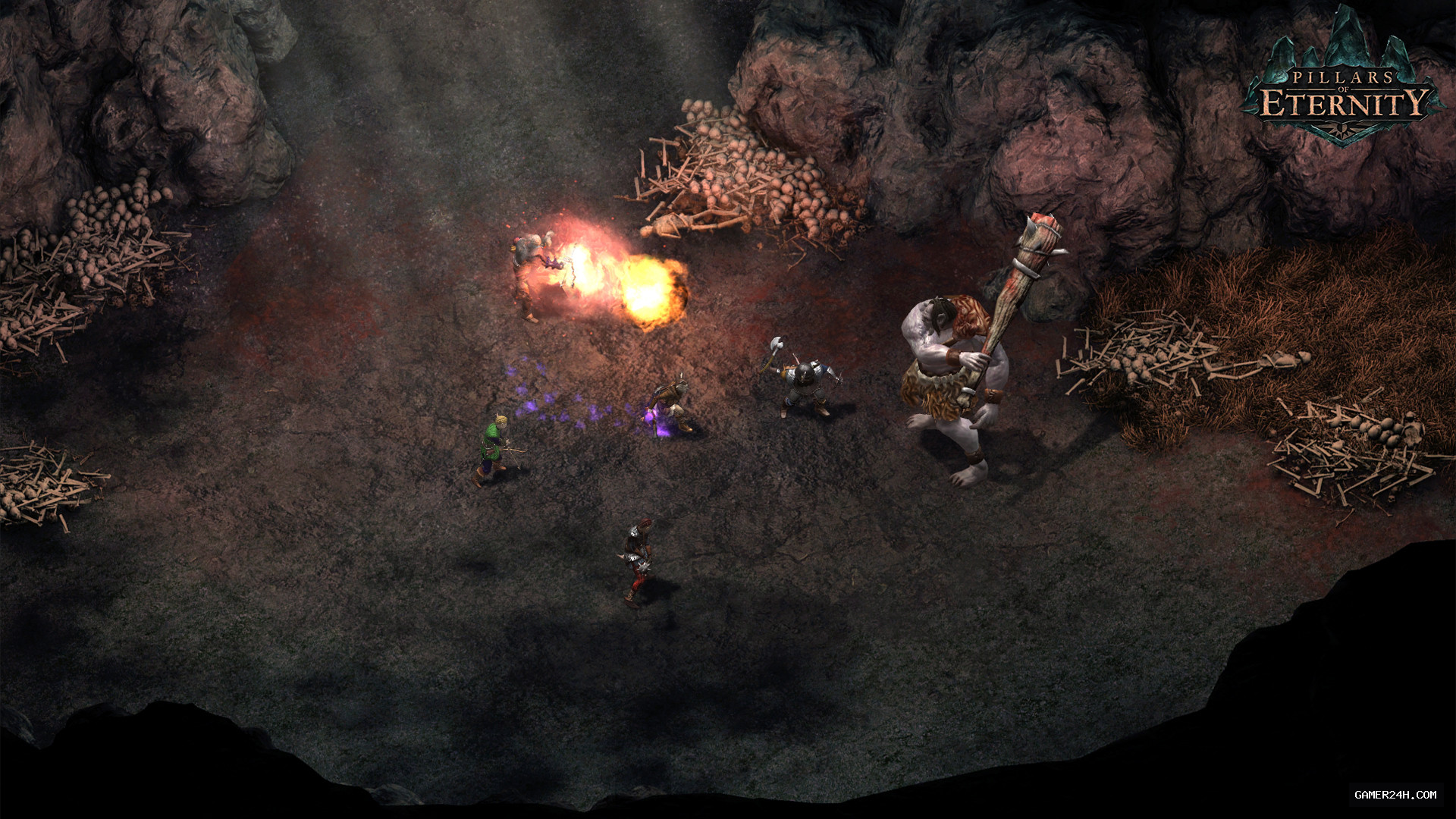 Pillars of Eternity Screenshot 7