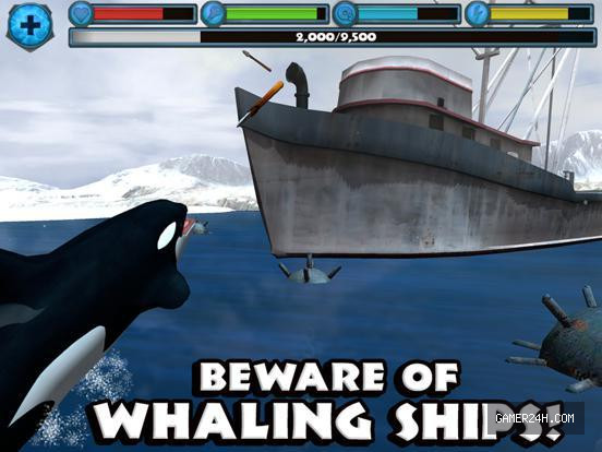 Gameplay Screenshot