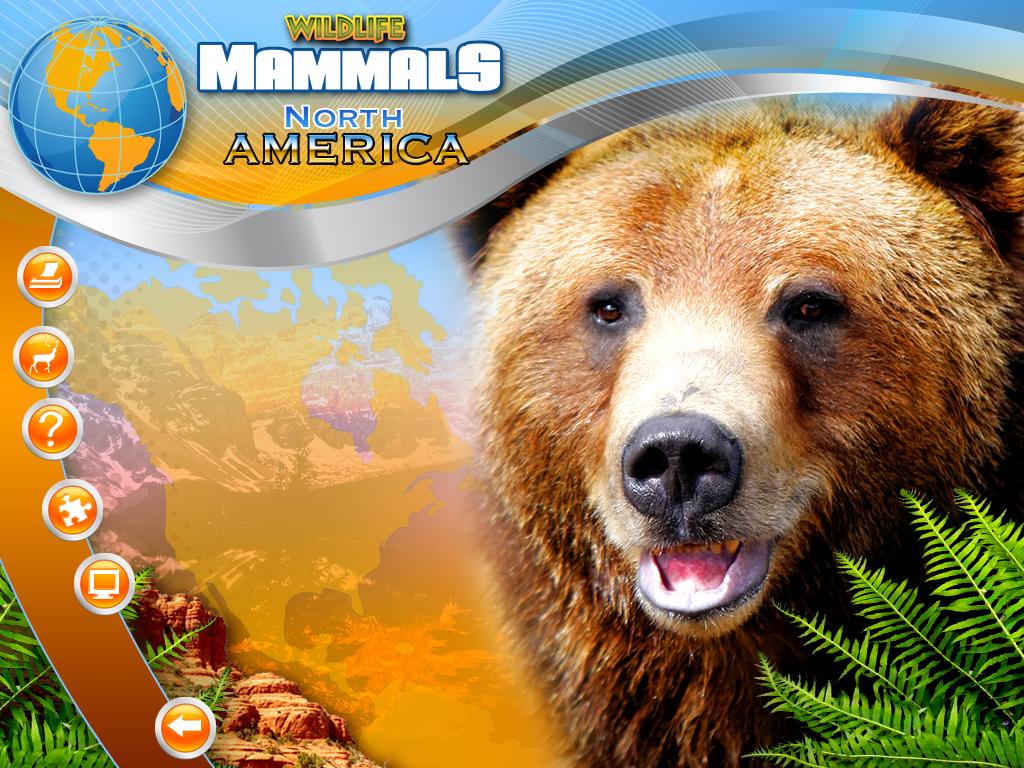 Gameplay Screenshot