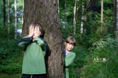 Idea forHide and Seek Game