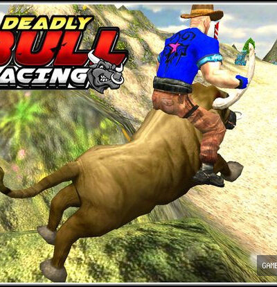 Bull Racing & Riding