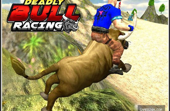 Bull Racing & Riding