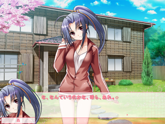 Gameplay Screenshot