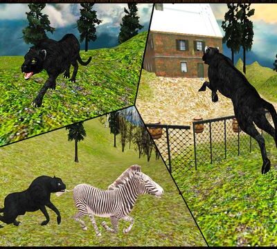 Wild Black Panther Attack Simulator 3D – Hunt the Zebra, Deer & Other Animal in Wildlife Safari