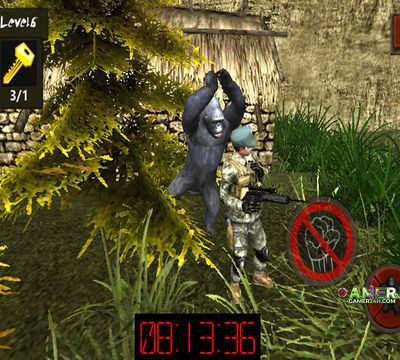 Assassin Ape 3D HD