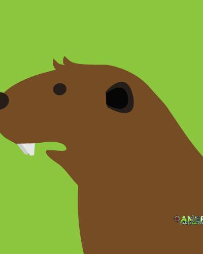 Beaver & Bears