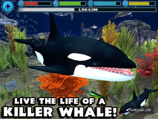 Gameplay Screenshot