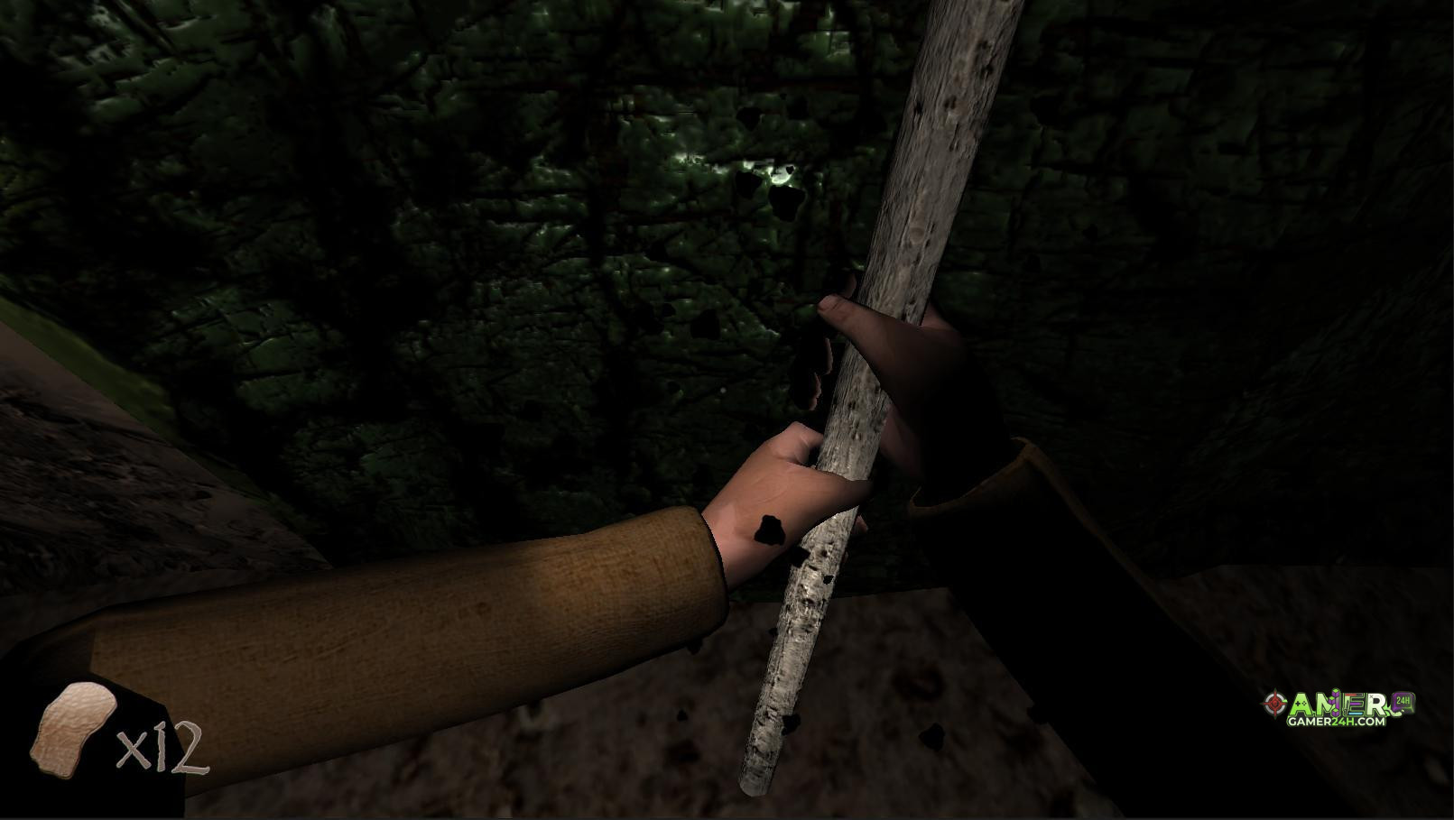 Gameplay Screenshot