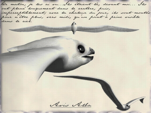 Gameplay Screenshot