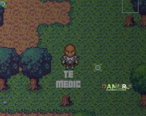 Gameplay Screenshot