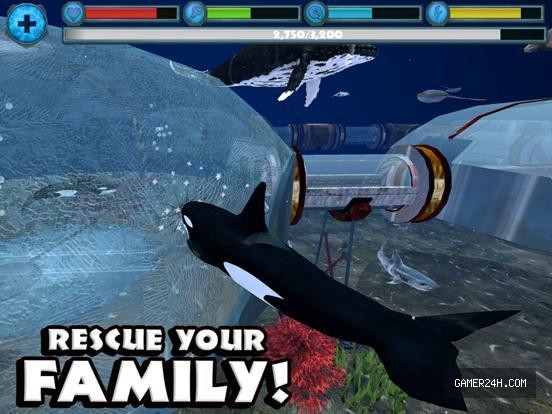 Gameplay Screenshot