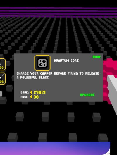 Voxelvoid