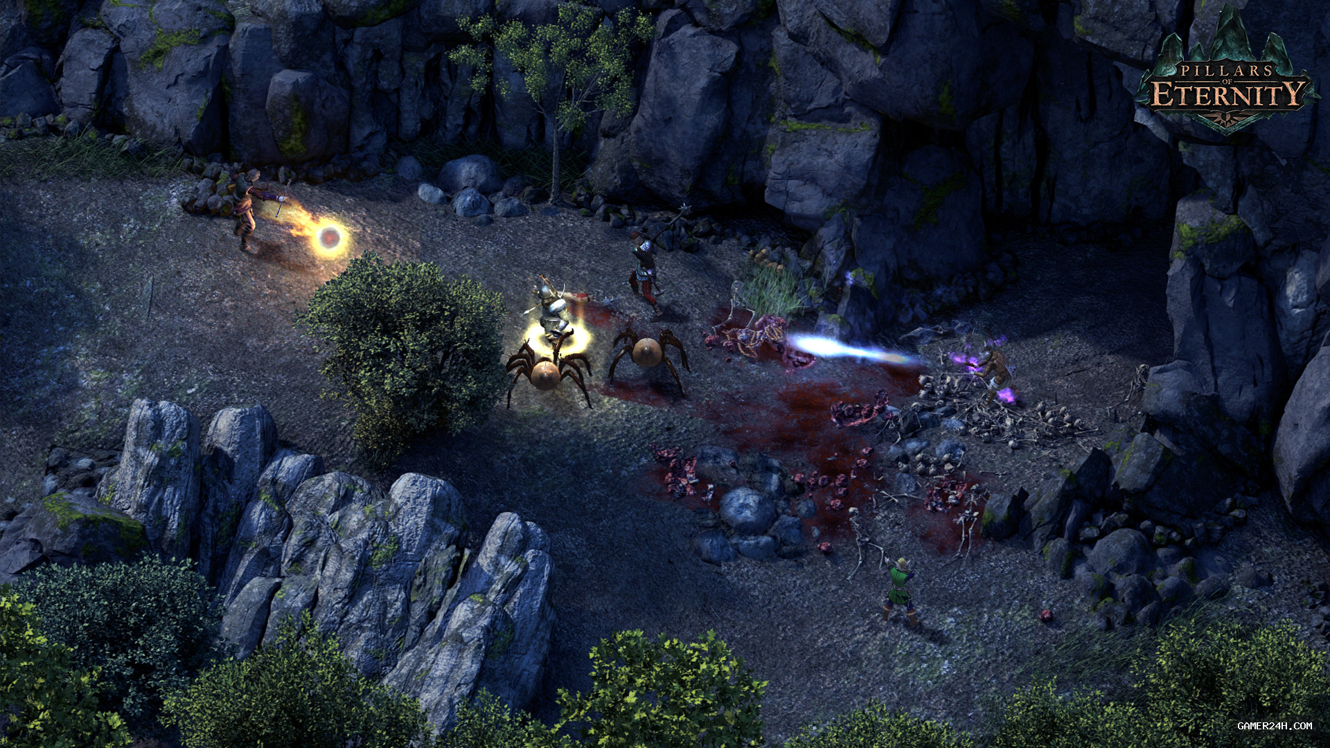 Pillars of Eternity - Historical Legacy & Archival Preservation