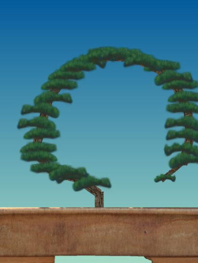 Bitty Bonsai
