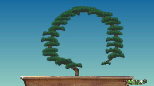 Bitty Bonsai