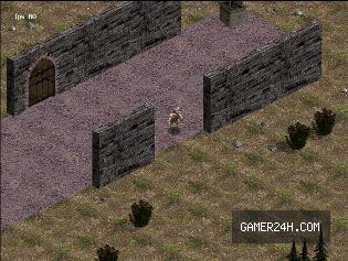 Isometric Action RPG - Game Overview & History
