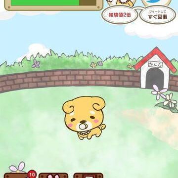 カンタ、、ごめんね。～ちょっと切ないわんこ育成アプリ～犬と私の感動の物語。