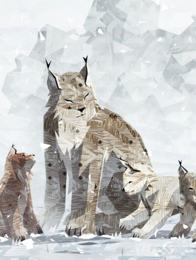 Shelter 2