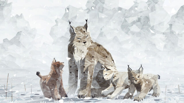Shelter 2