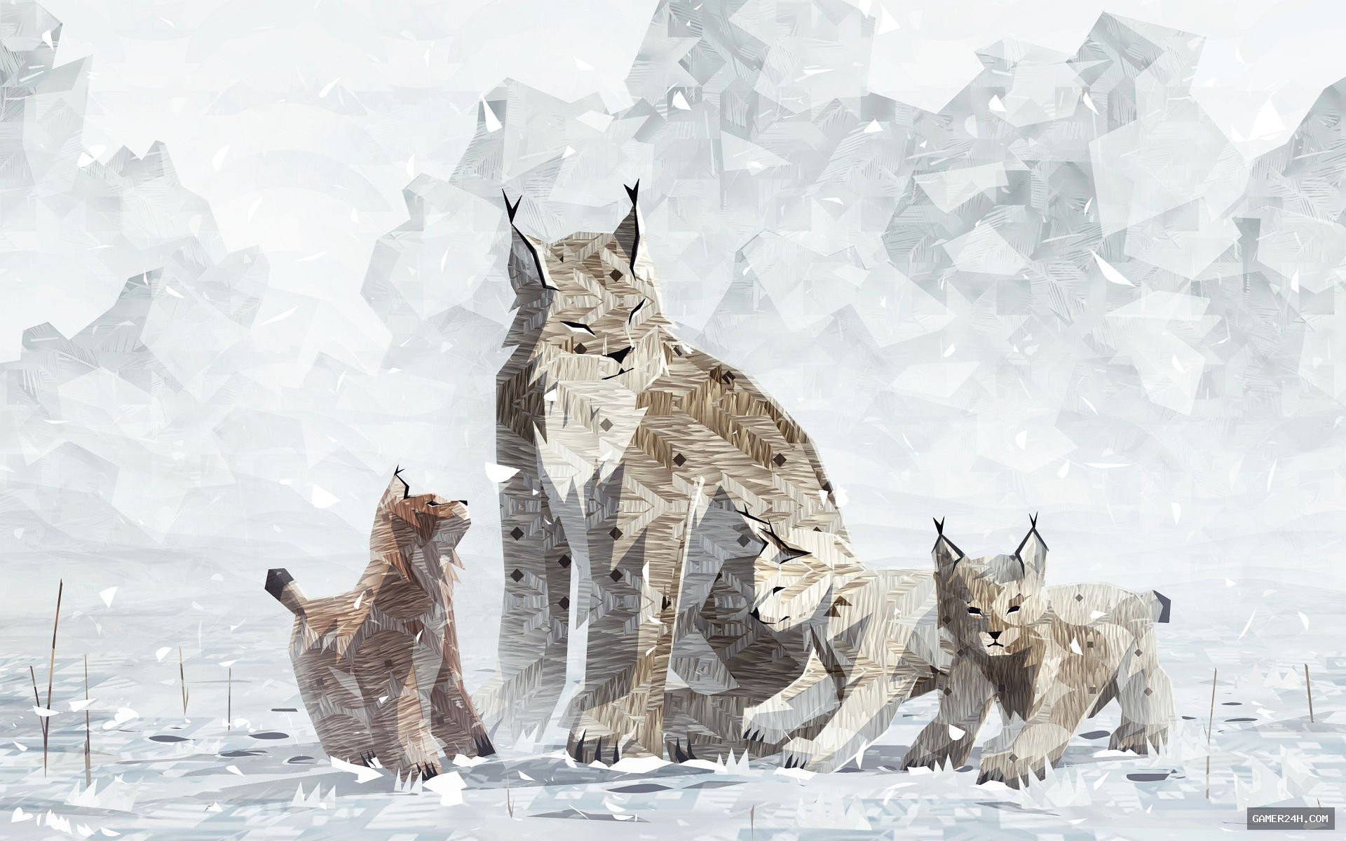 Shelter 2 Official Cover