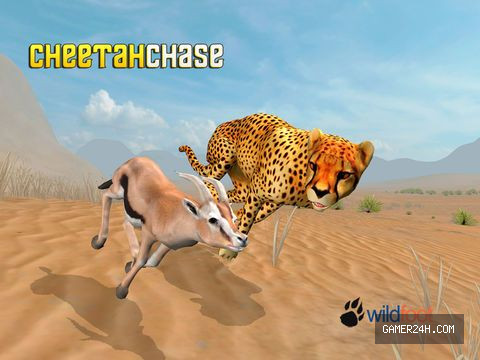 Gameplay Screenshot